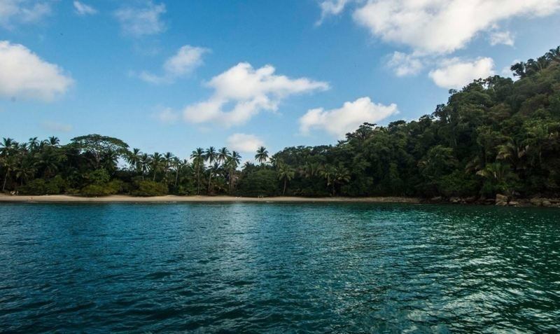 morning catamaran cruise manuel antonio costa rica