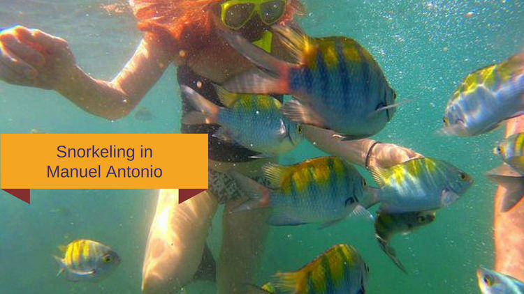 snorkeling in Manuel Antonio