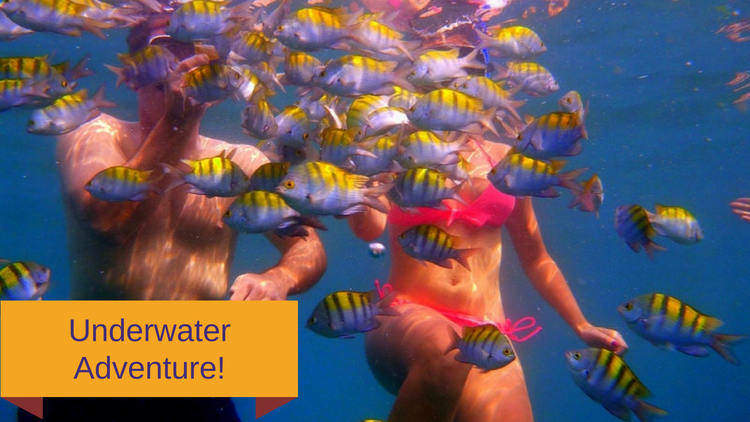 best snorkeling in Manuel Antonio
